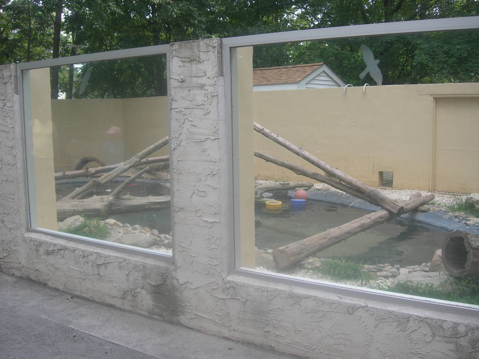 North American River Otter Exhibit