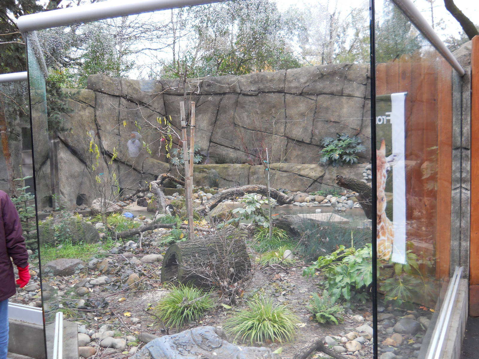 North American river otter exhibit