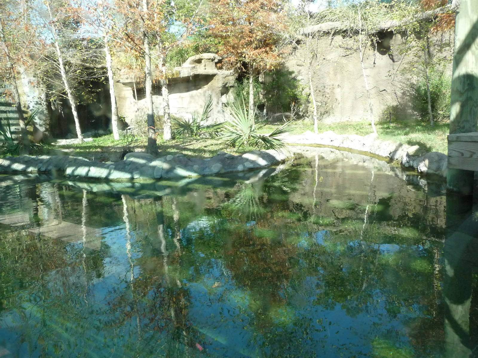 North American River Otter Exhibit