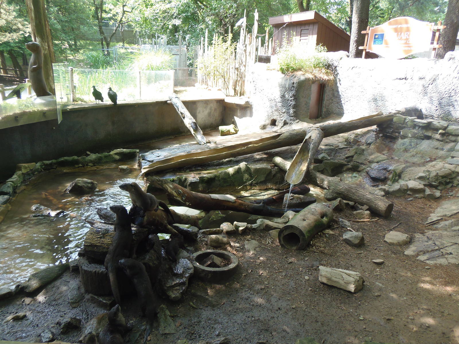 North American River Otter Exhibit