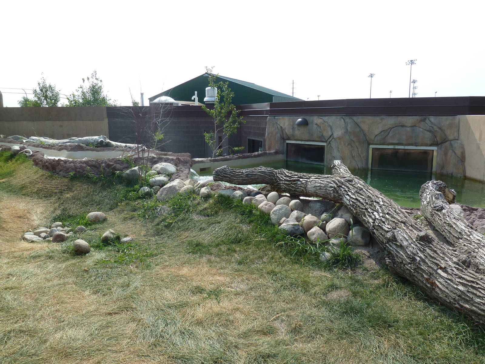 North American River Otter Exhibit