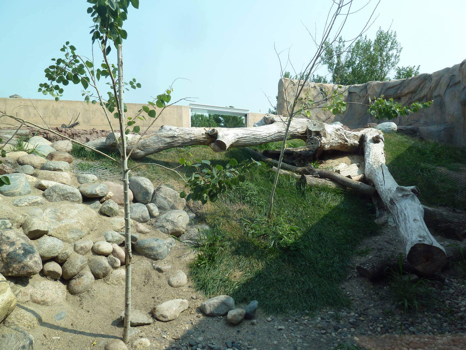 North American River Otter Exhibit