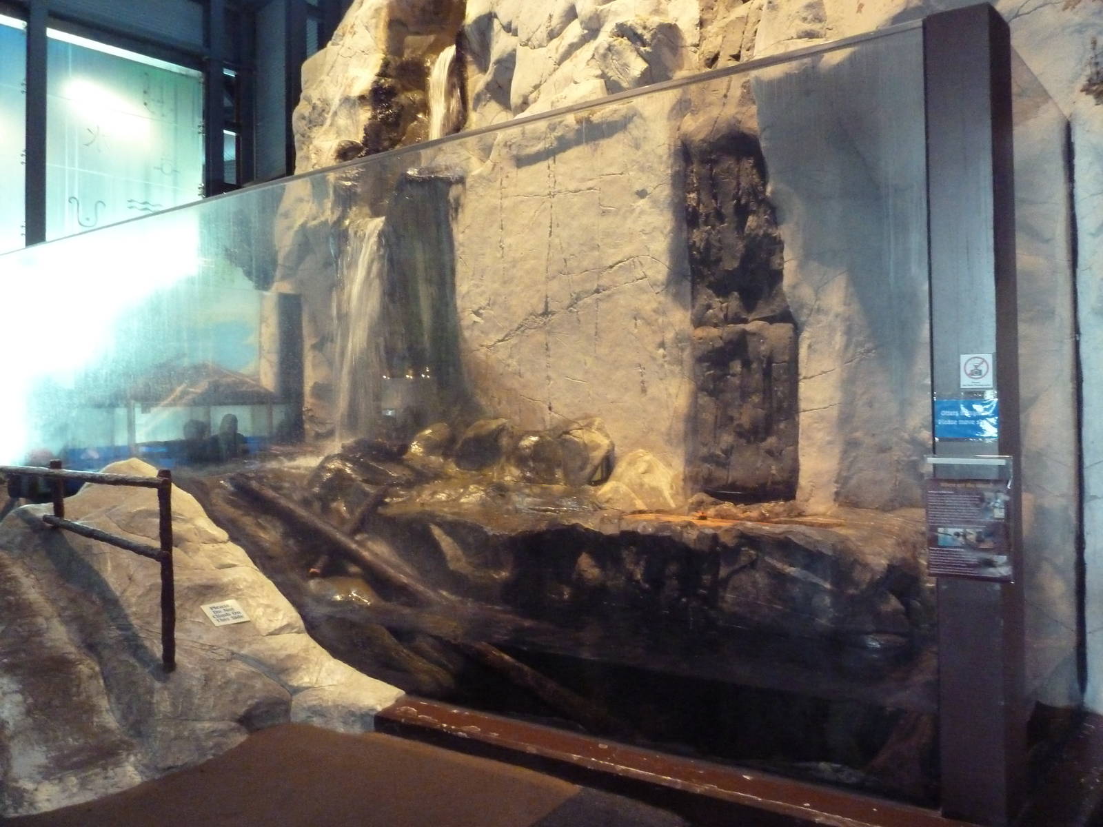 North American River Otter Exhibit