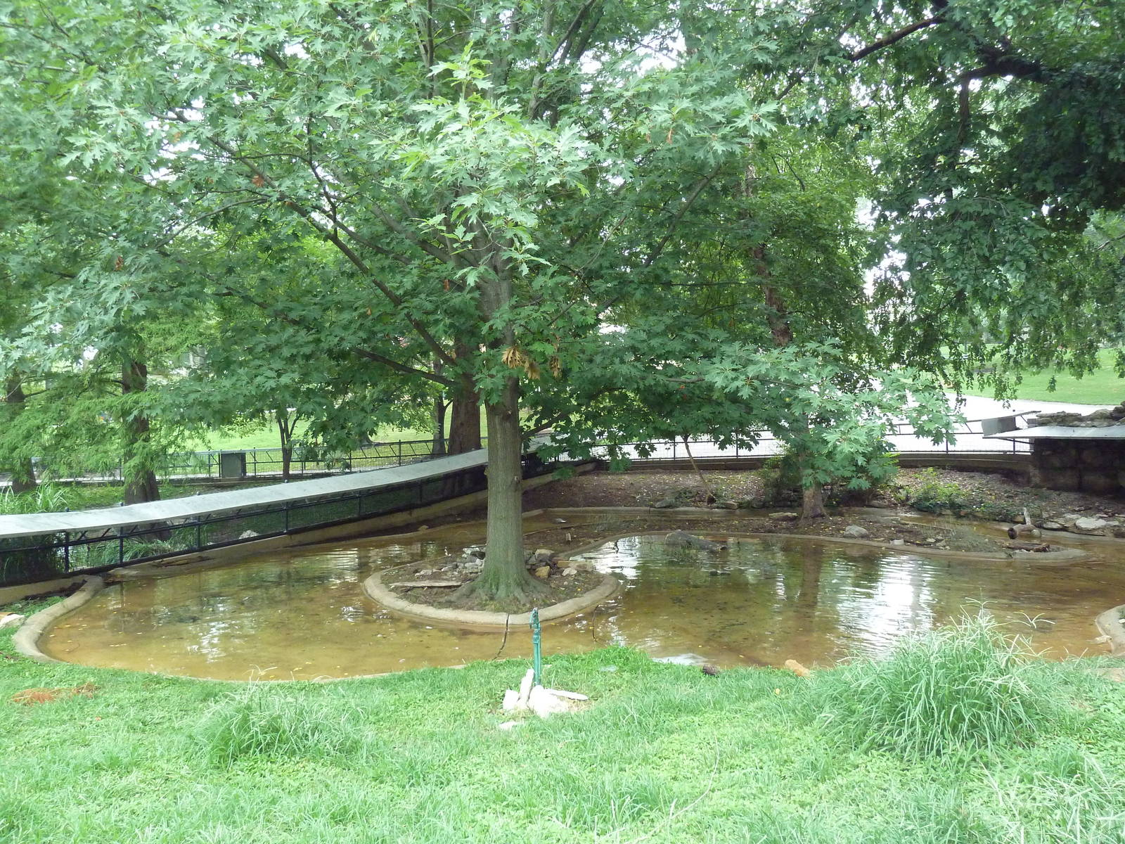 North American River Otter Exhibit