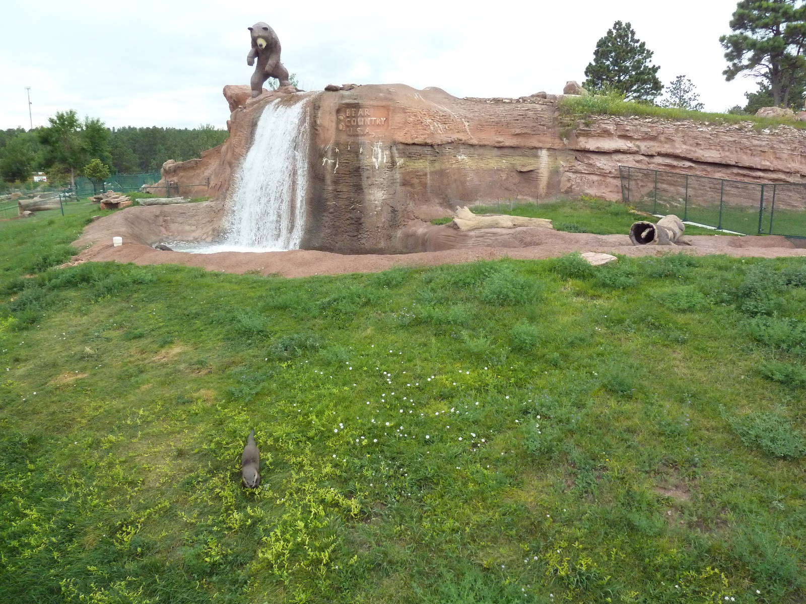 North American River Otter Exhibit
