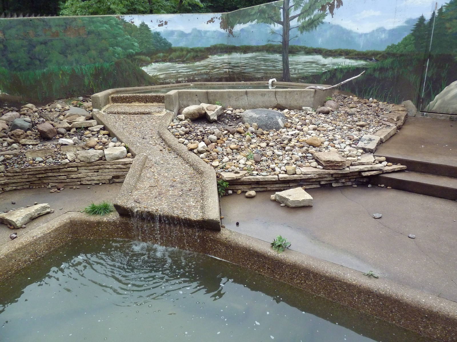 North American River Otter Exhibit