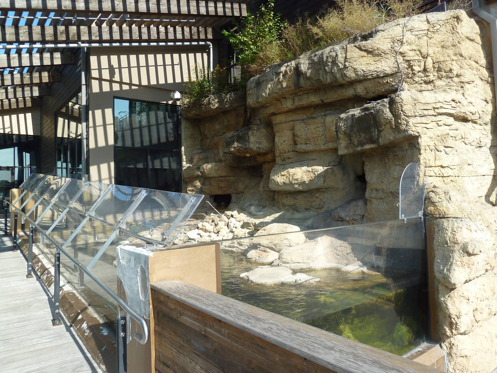 North American River Otter Exhibit