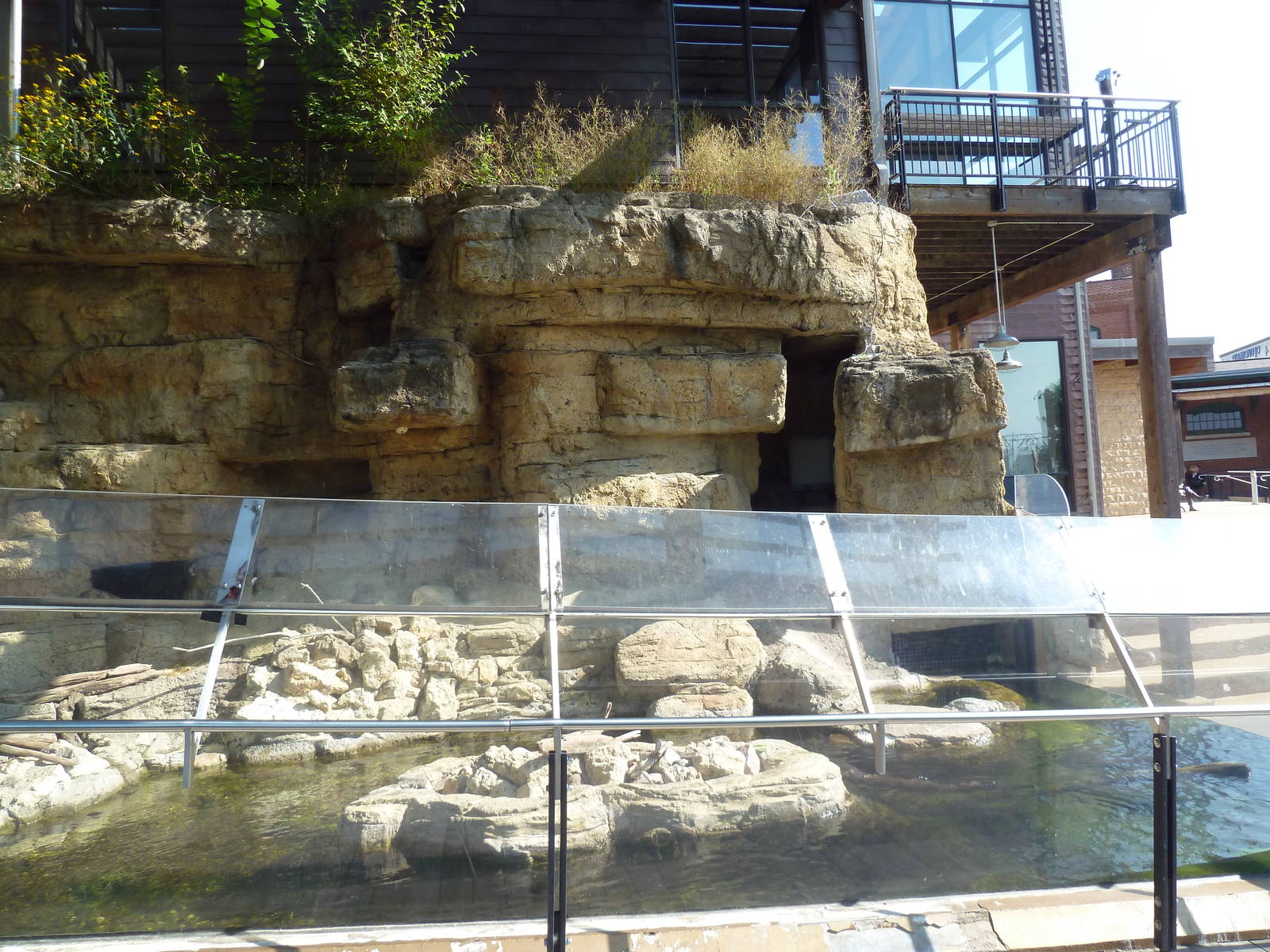 North American River Otter Exhibit