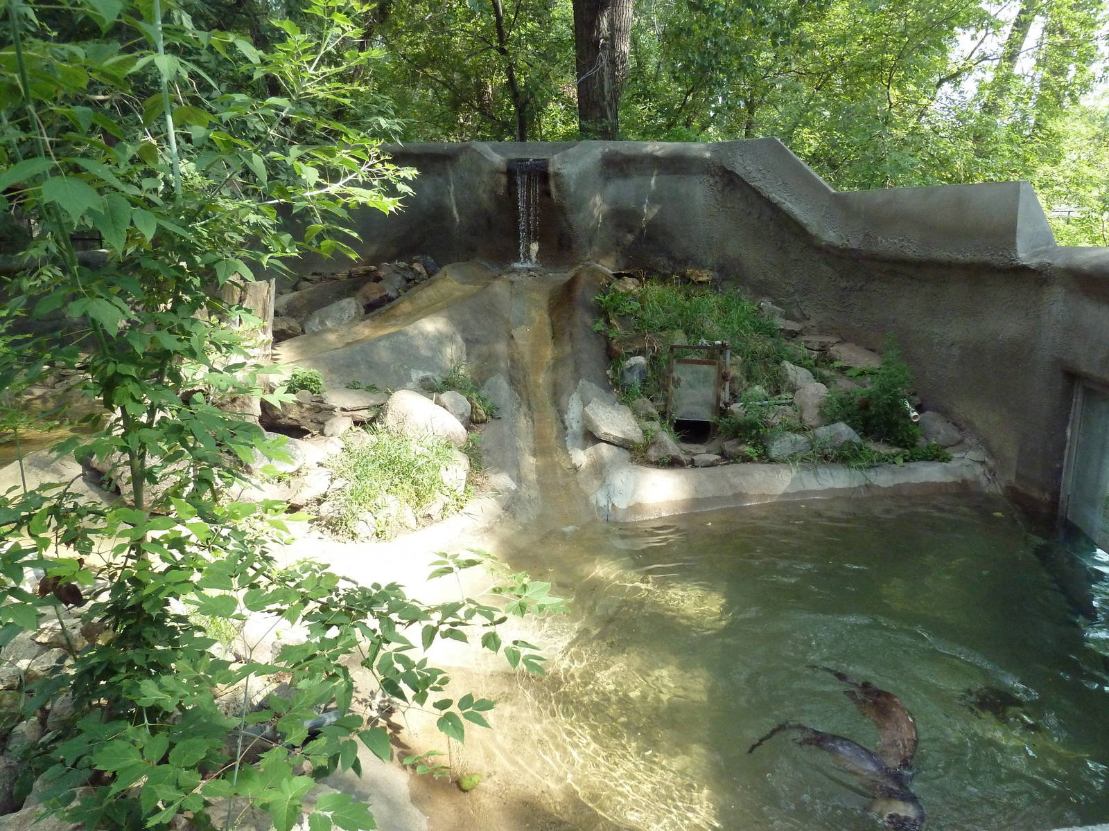 North American River Otter Exhibit