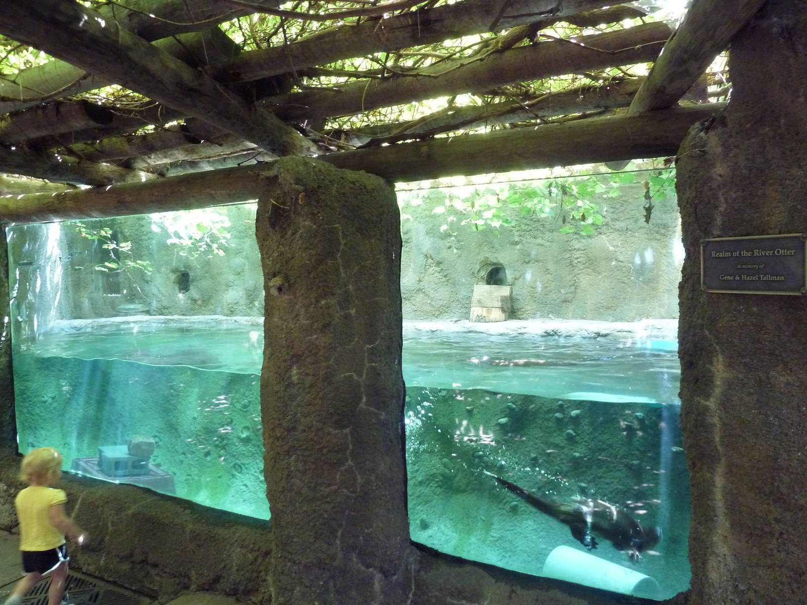 North American River Otter Exhibit