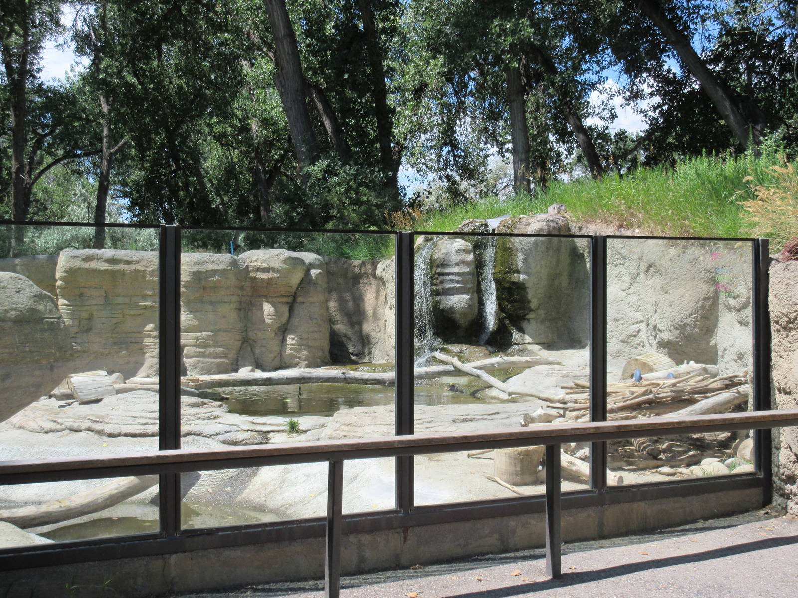North American River Otter Exhibit