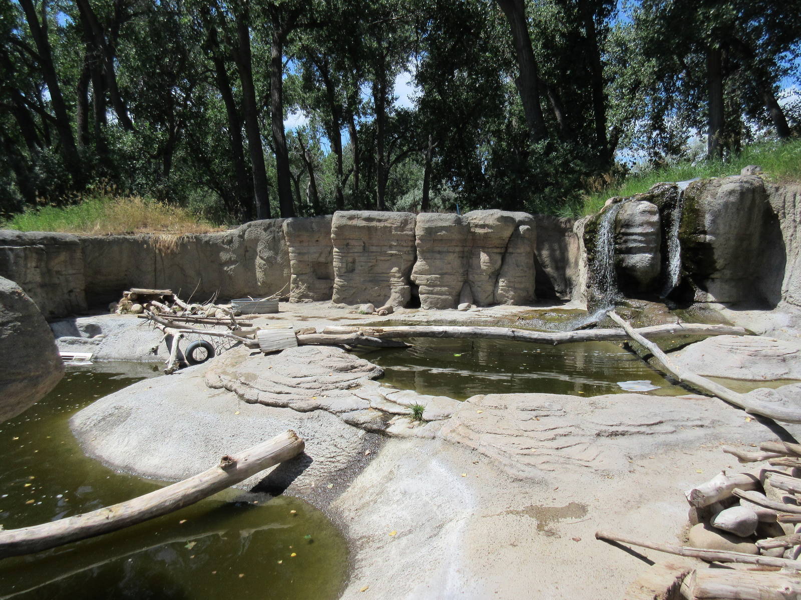 North American River Otter Exhibit