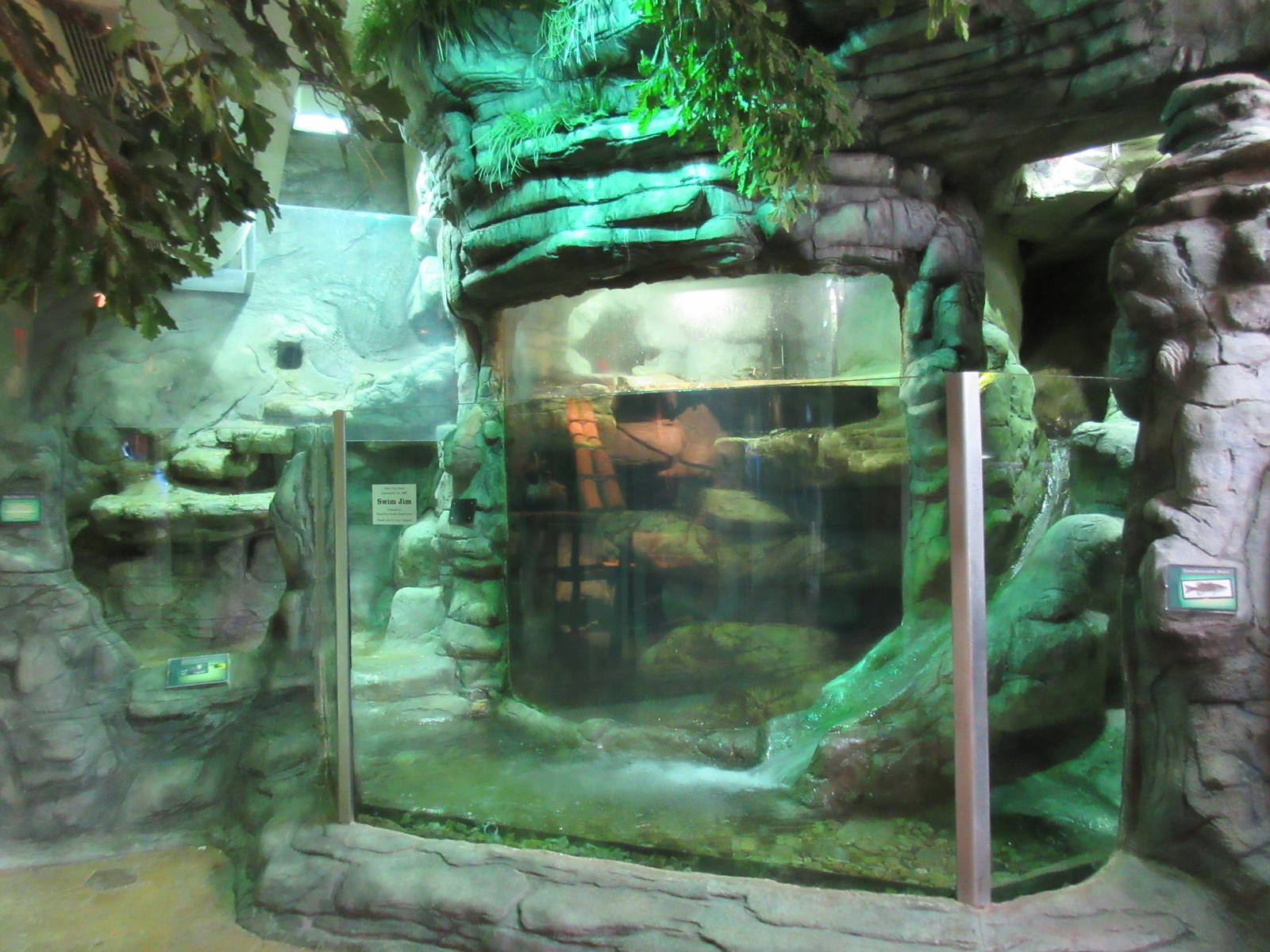 North American River Otter Exhibit