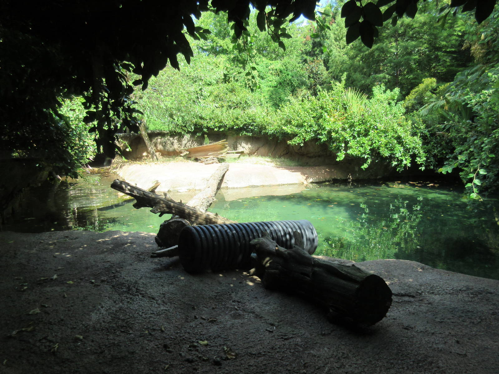 North American River Otter Exhibit