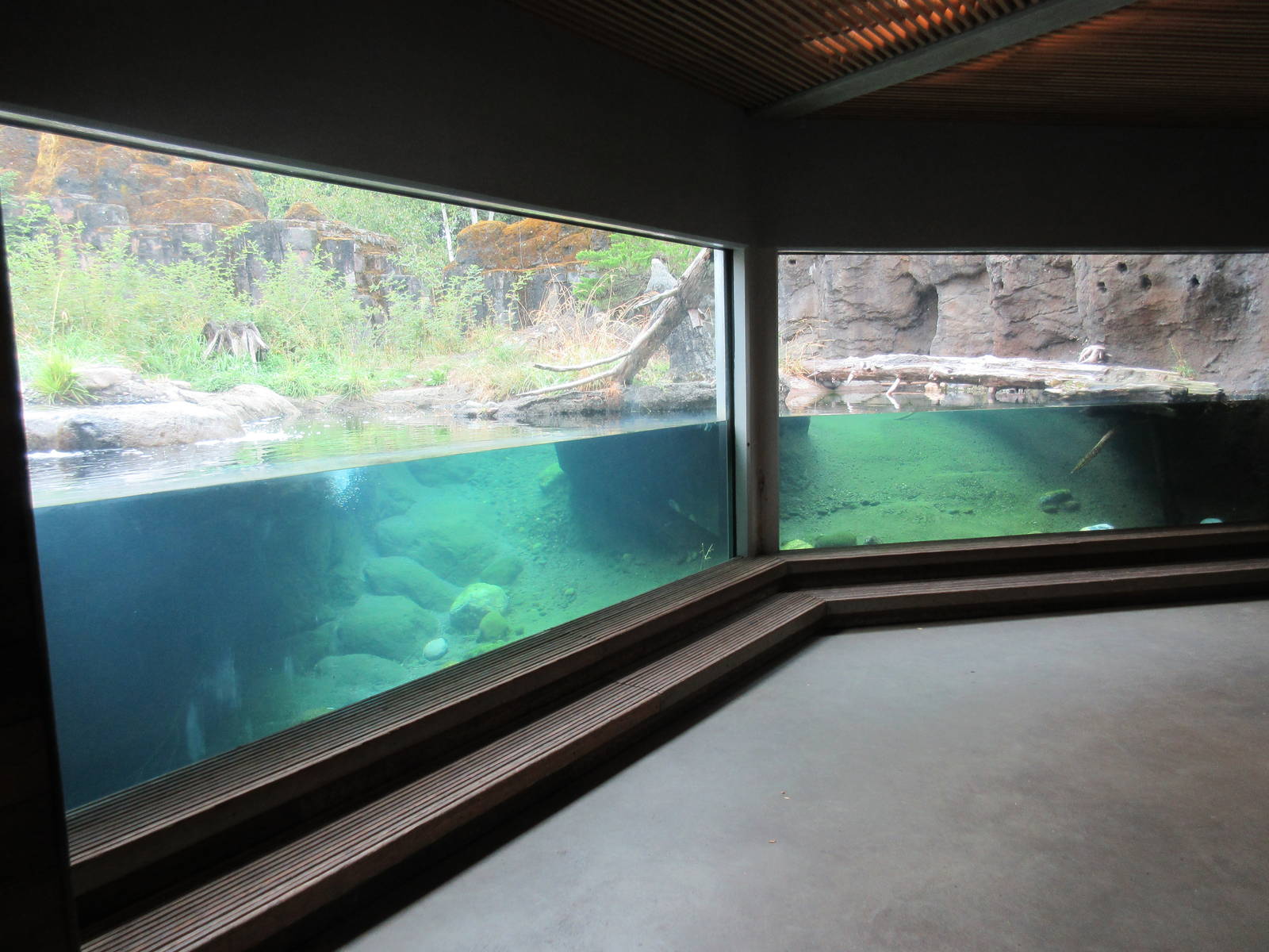 North American River Otter Exhibit