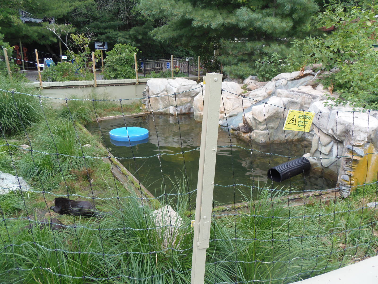 North American River Otter Exhibit