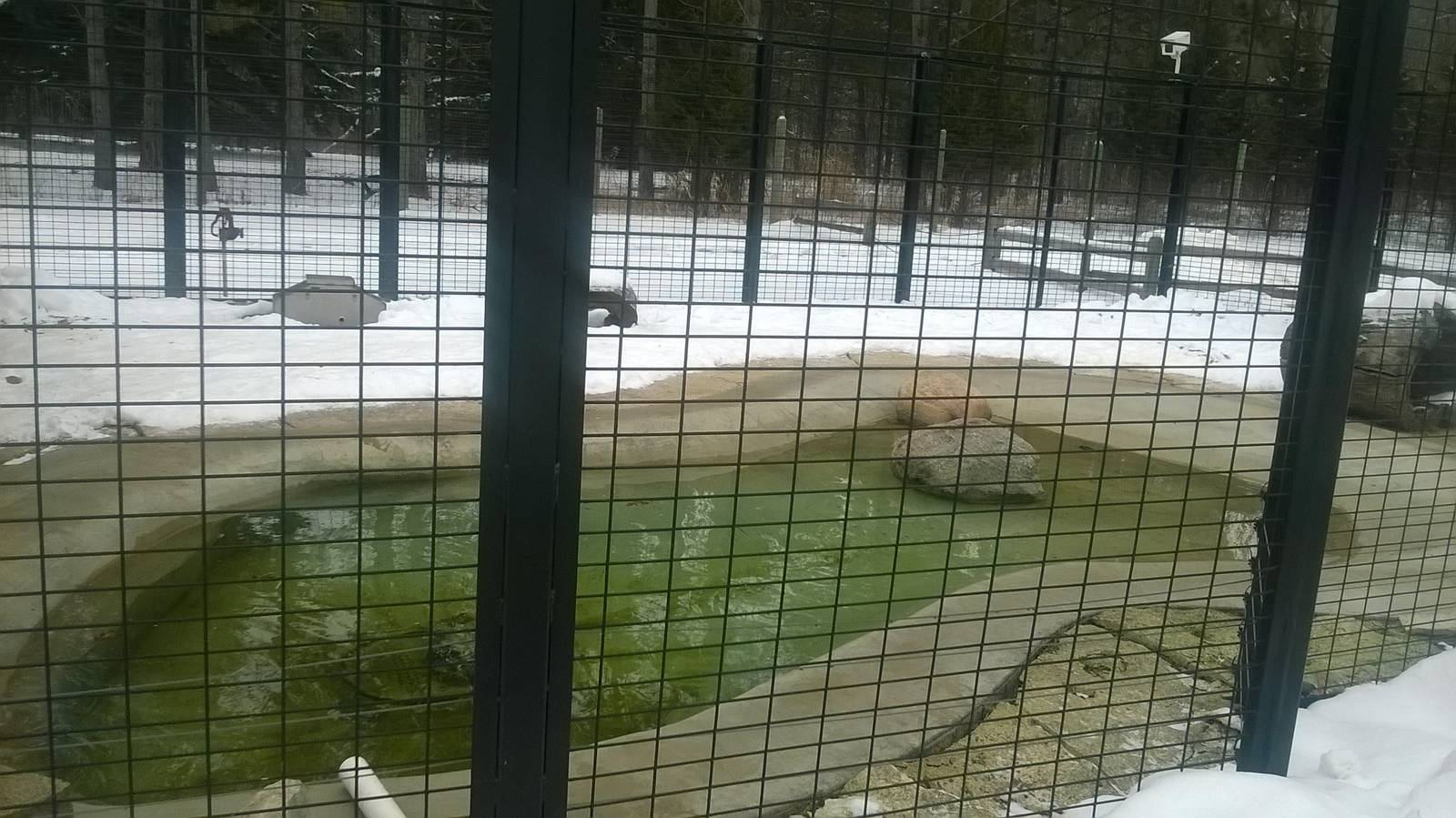 North American River Otter Exhibit