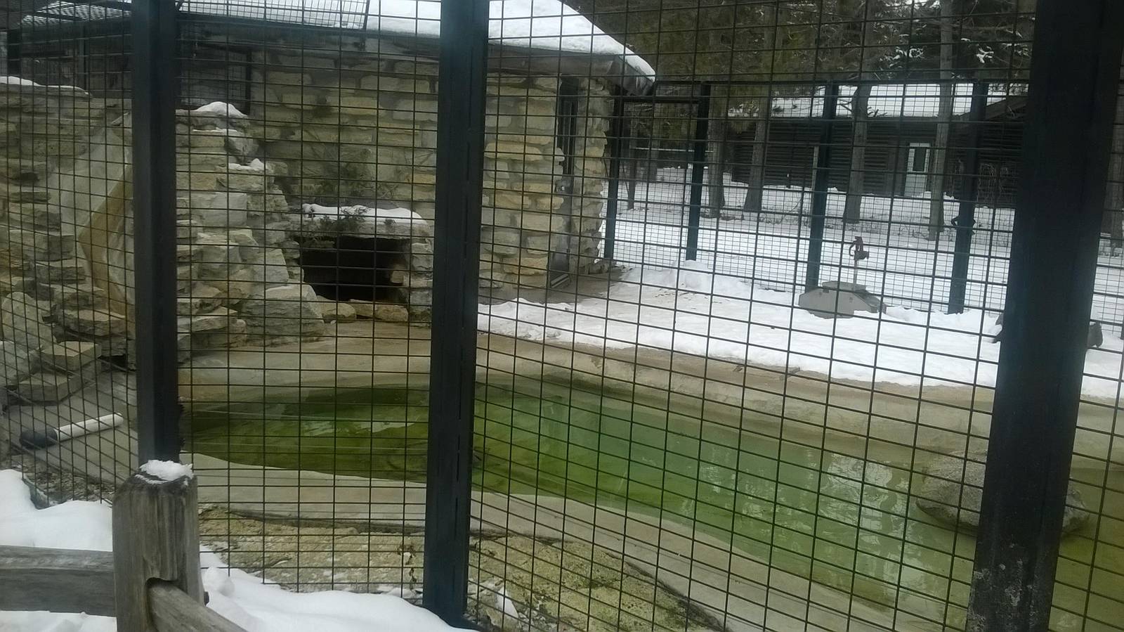 North American River Otter Exhibit
