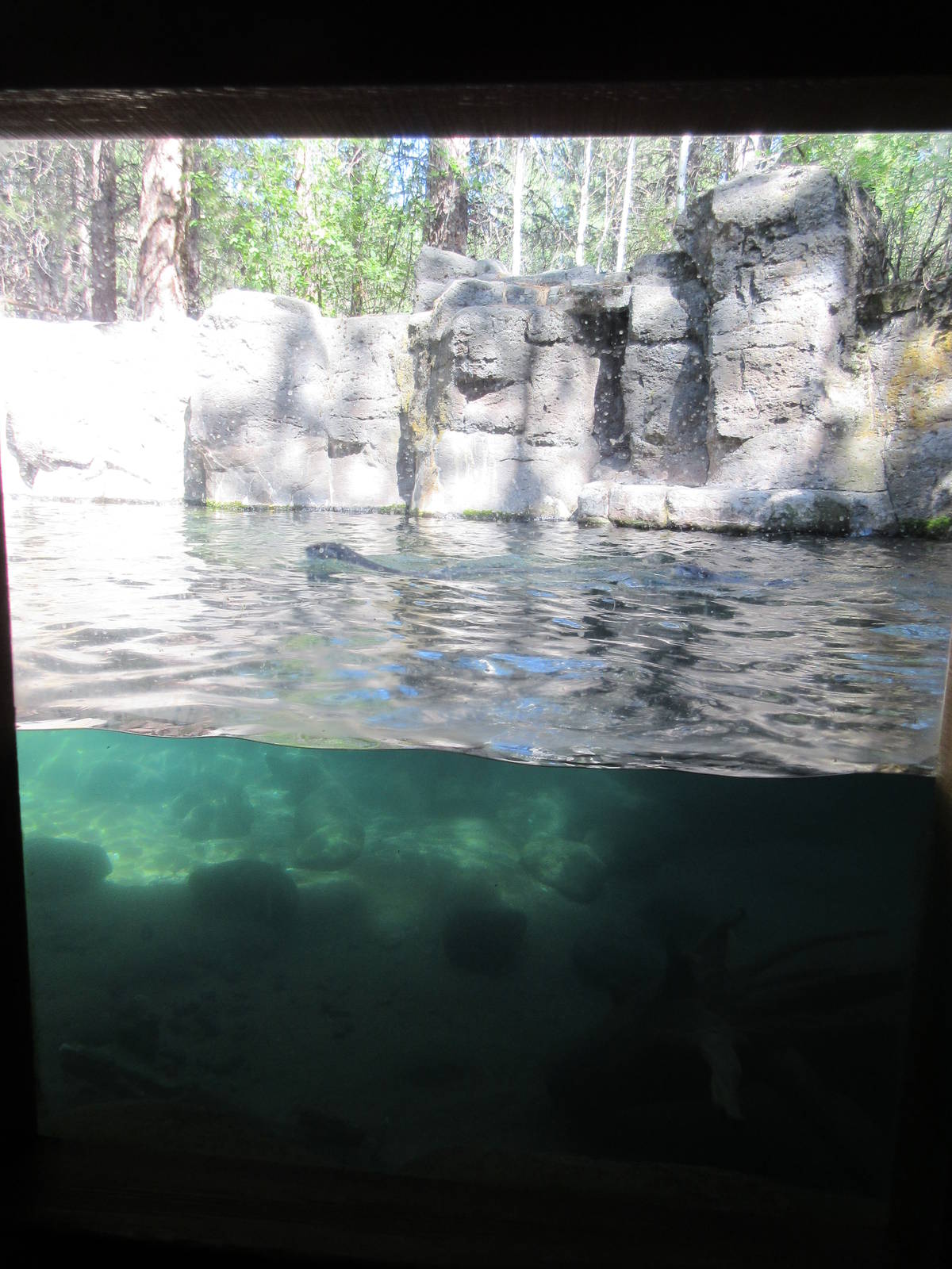 North American River Otter Exhibit