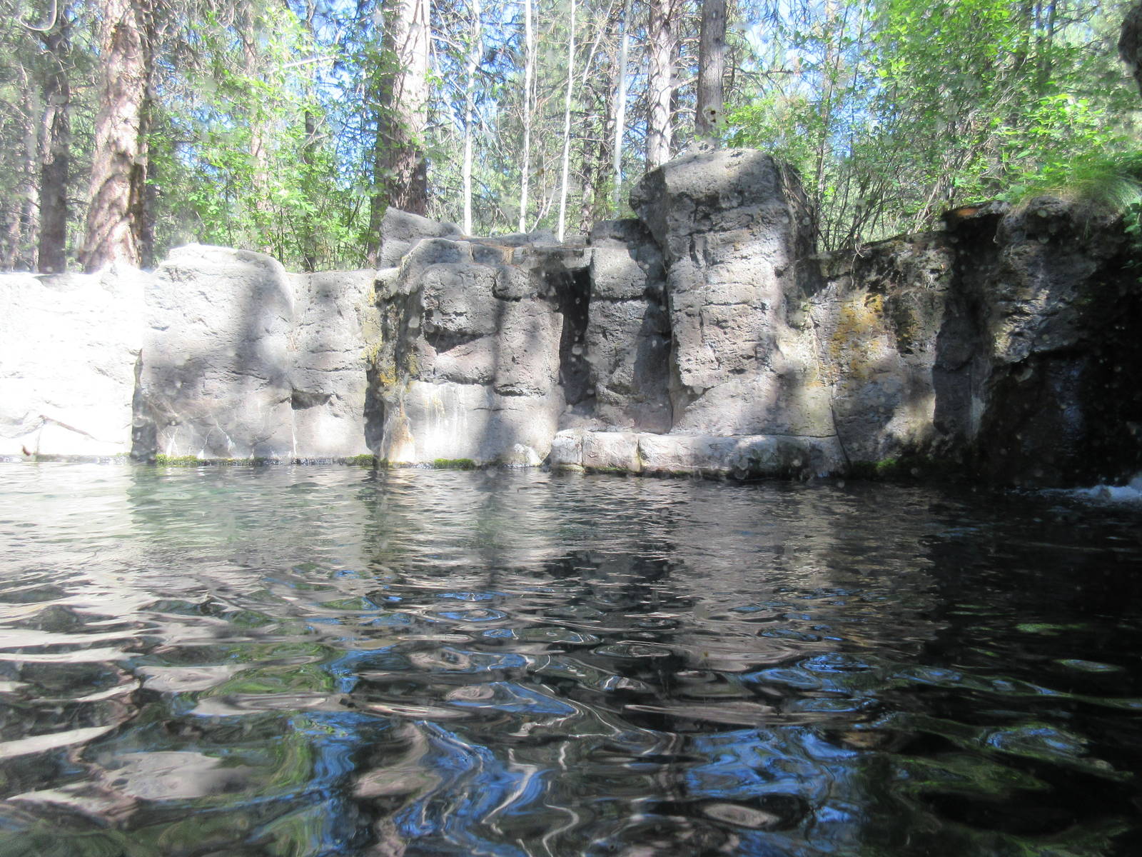 North American River Otter Exhibit