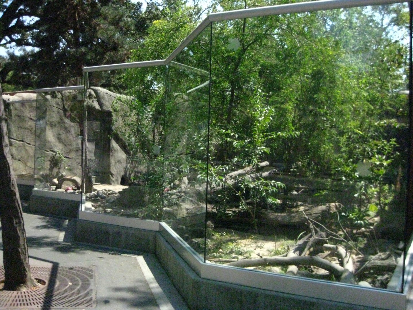North American River Otter Exhibit