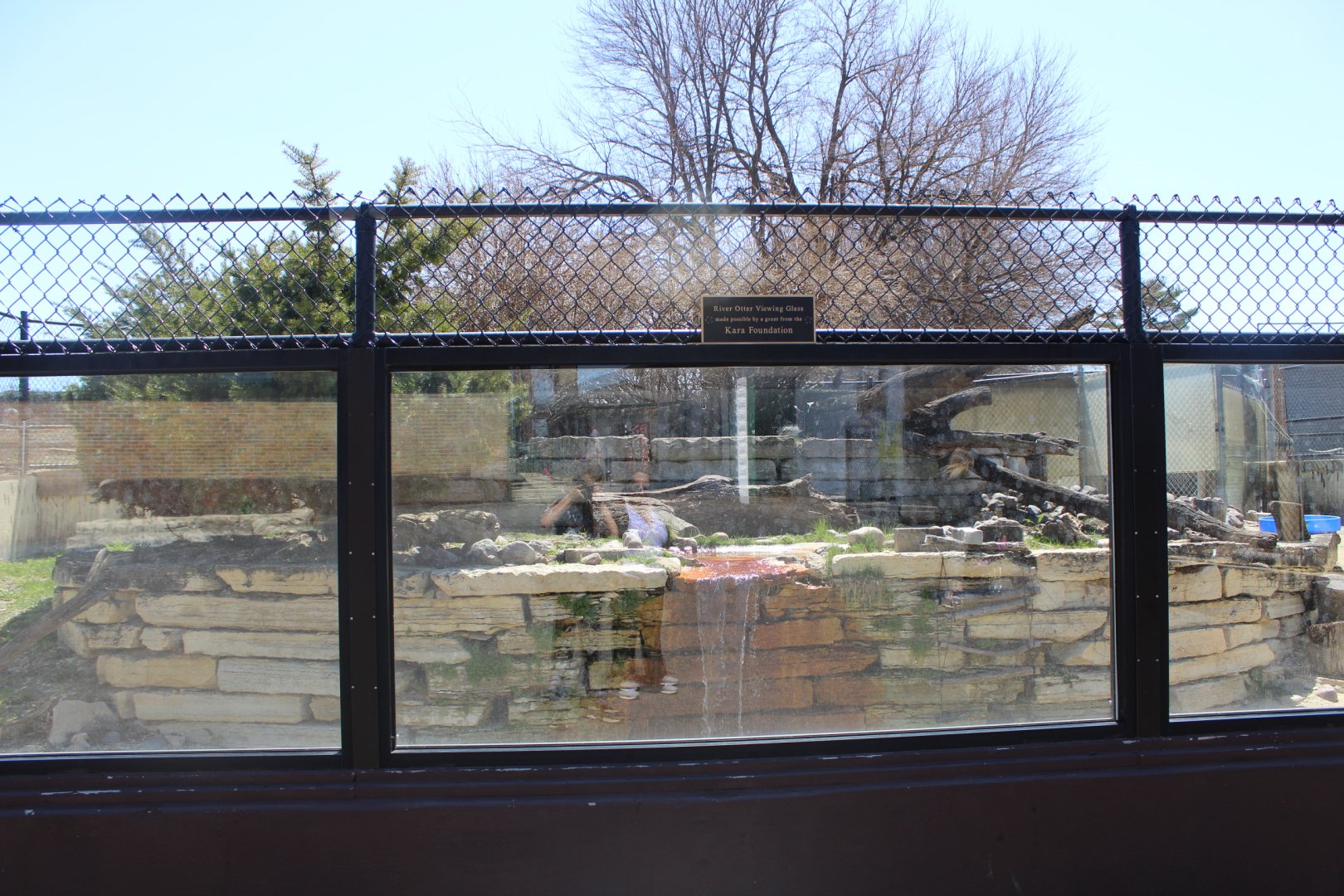 North American River Otter Exhibit