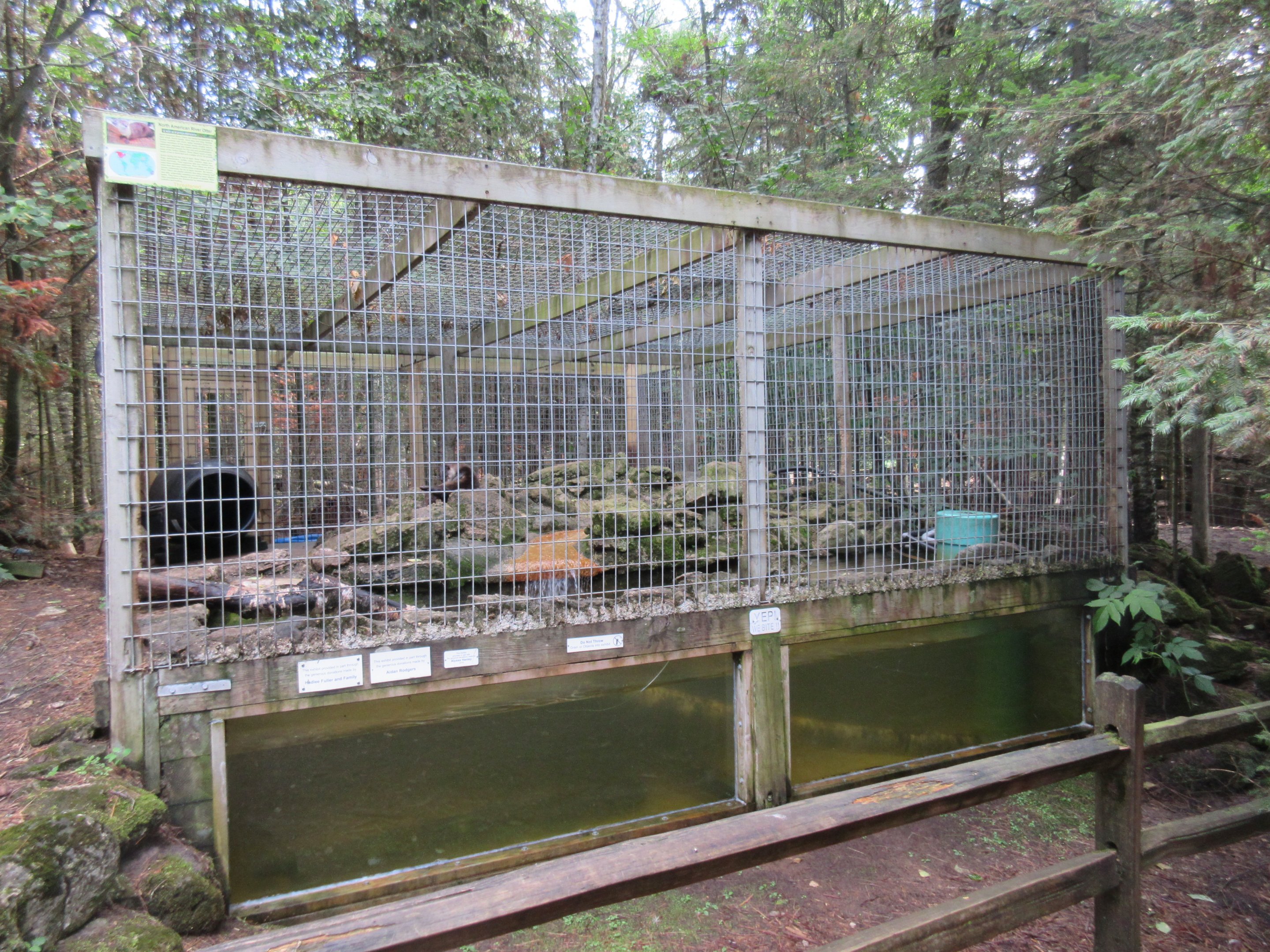 North American River Otter Exhibit