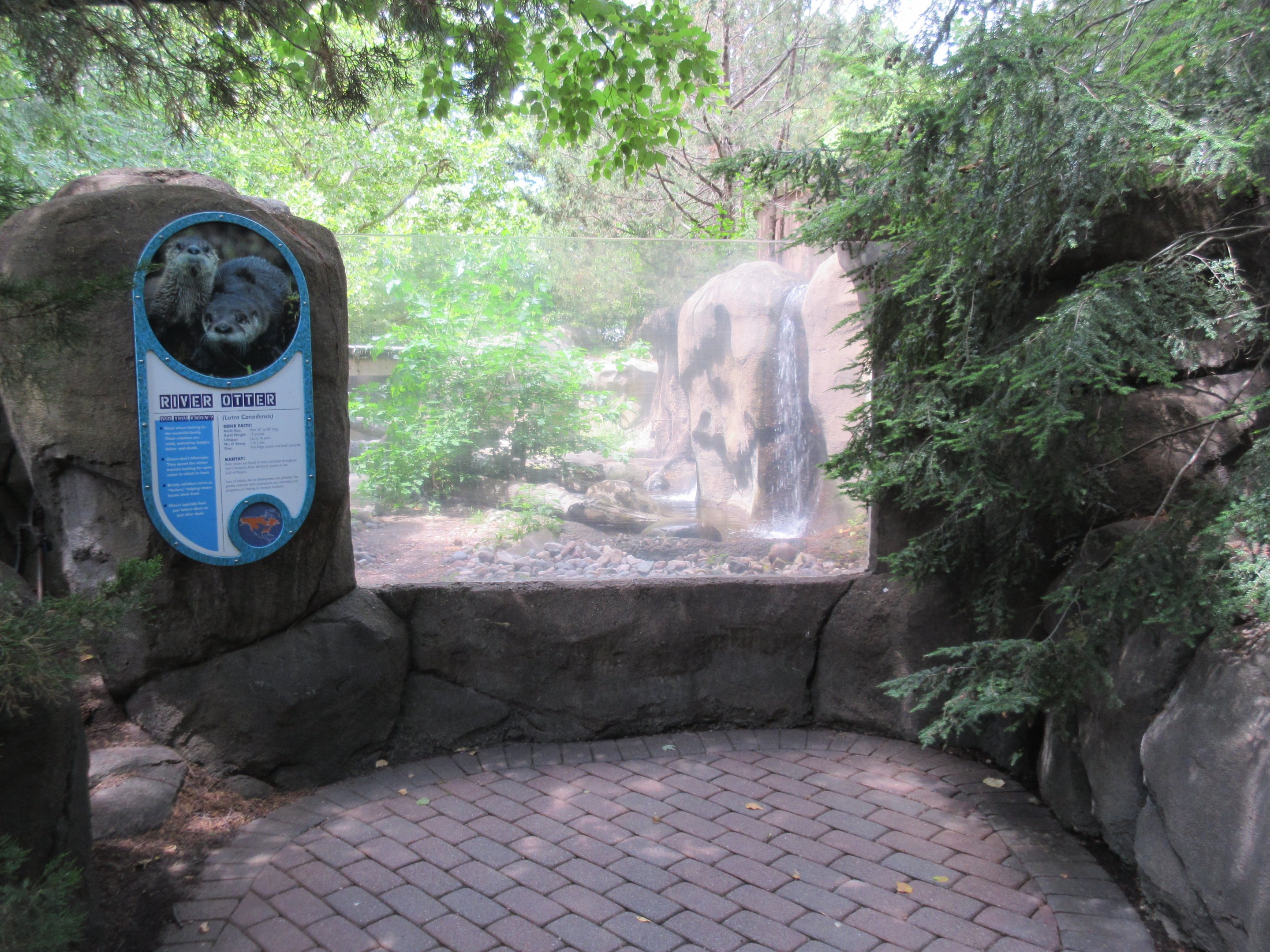 North American River Otter Exhibit