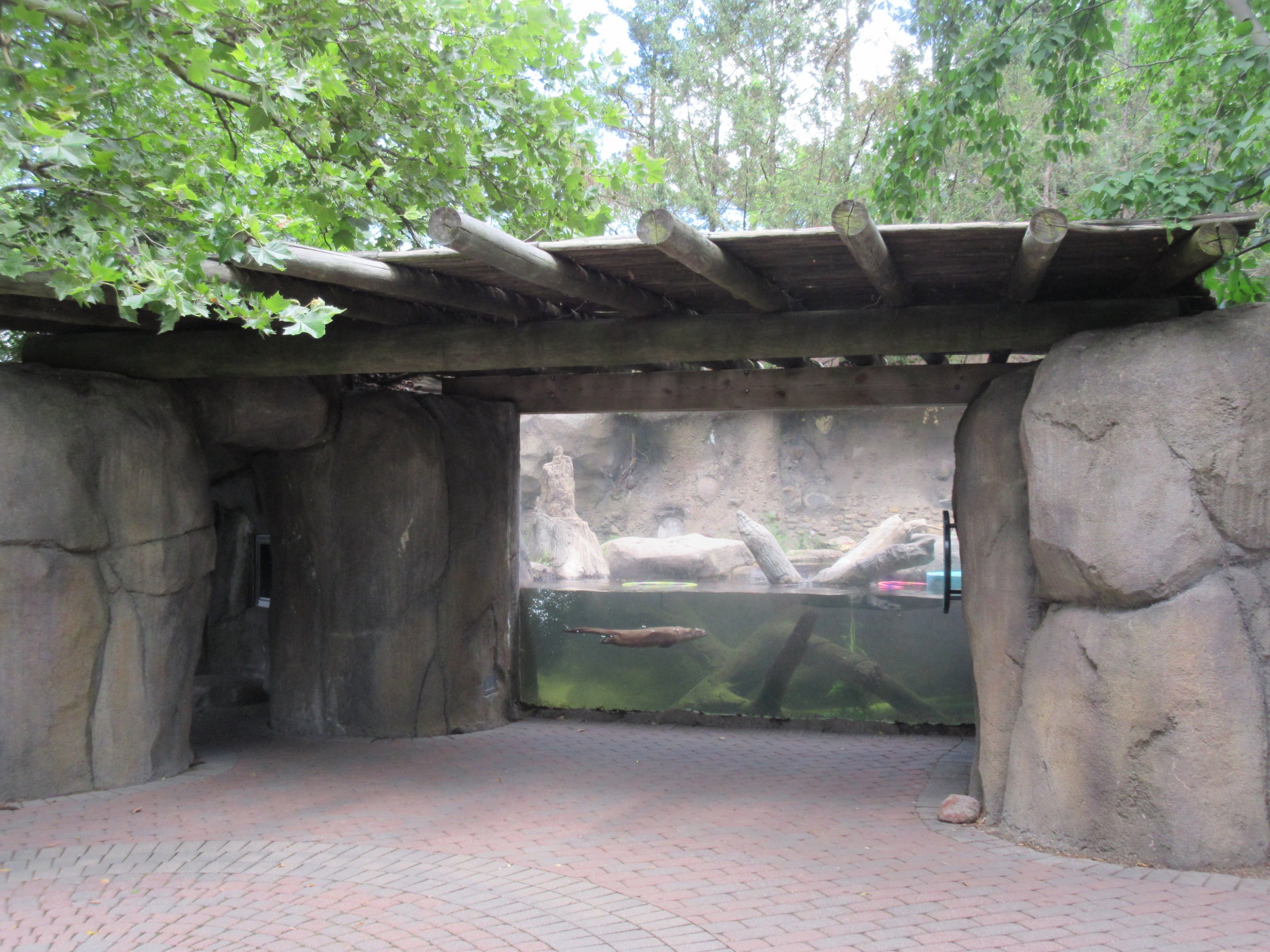 North American River Otter Exhibit