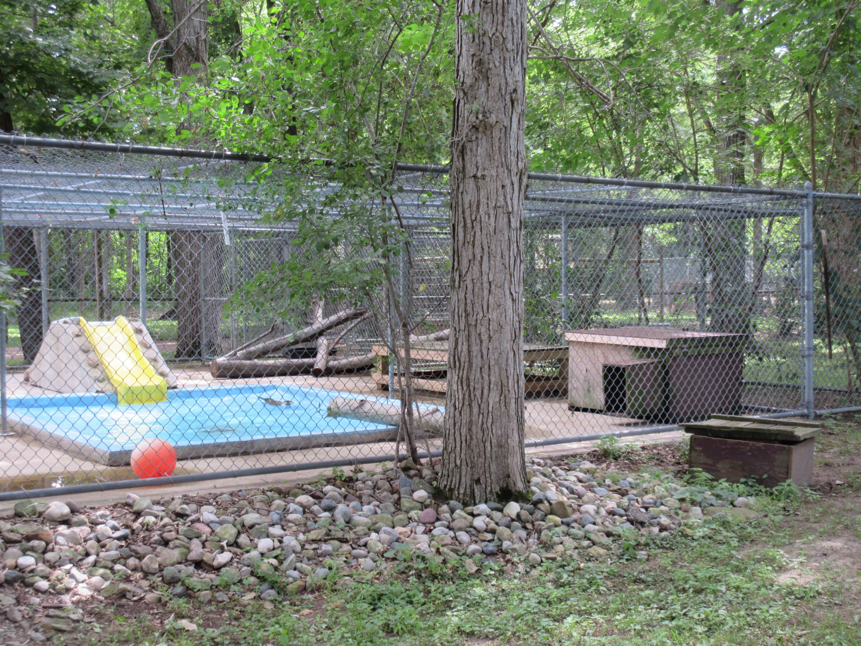 North American River Otter Exhibit
