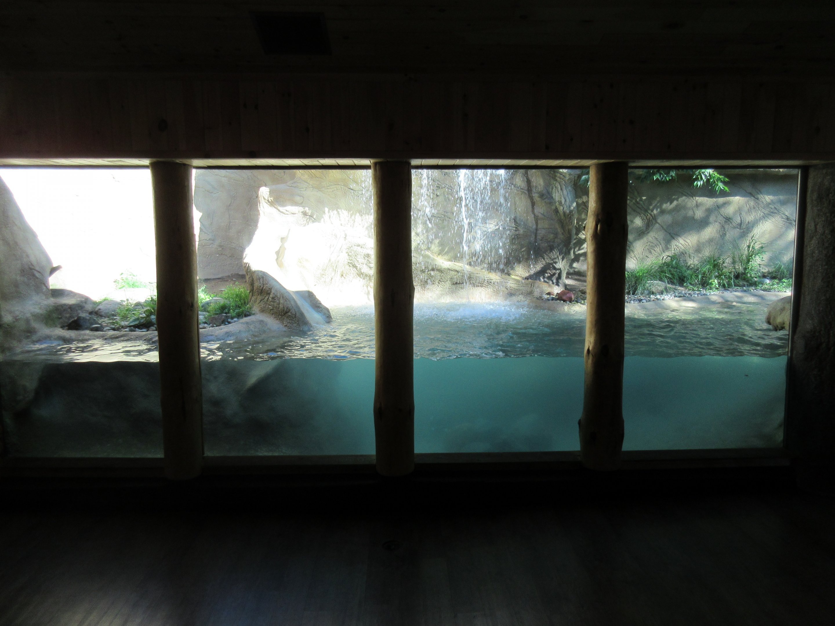 North American River Otter Exhibit