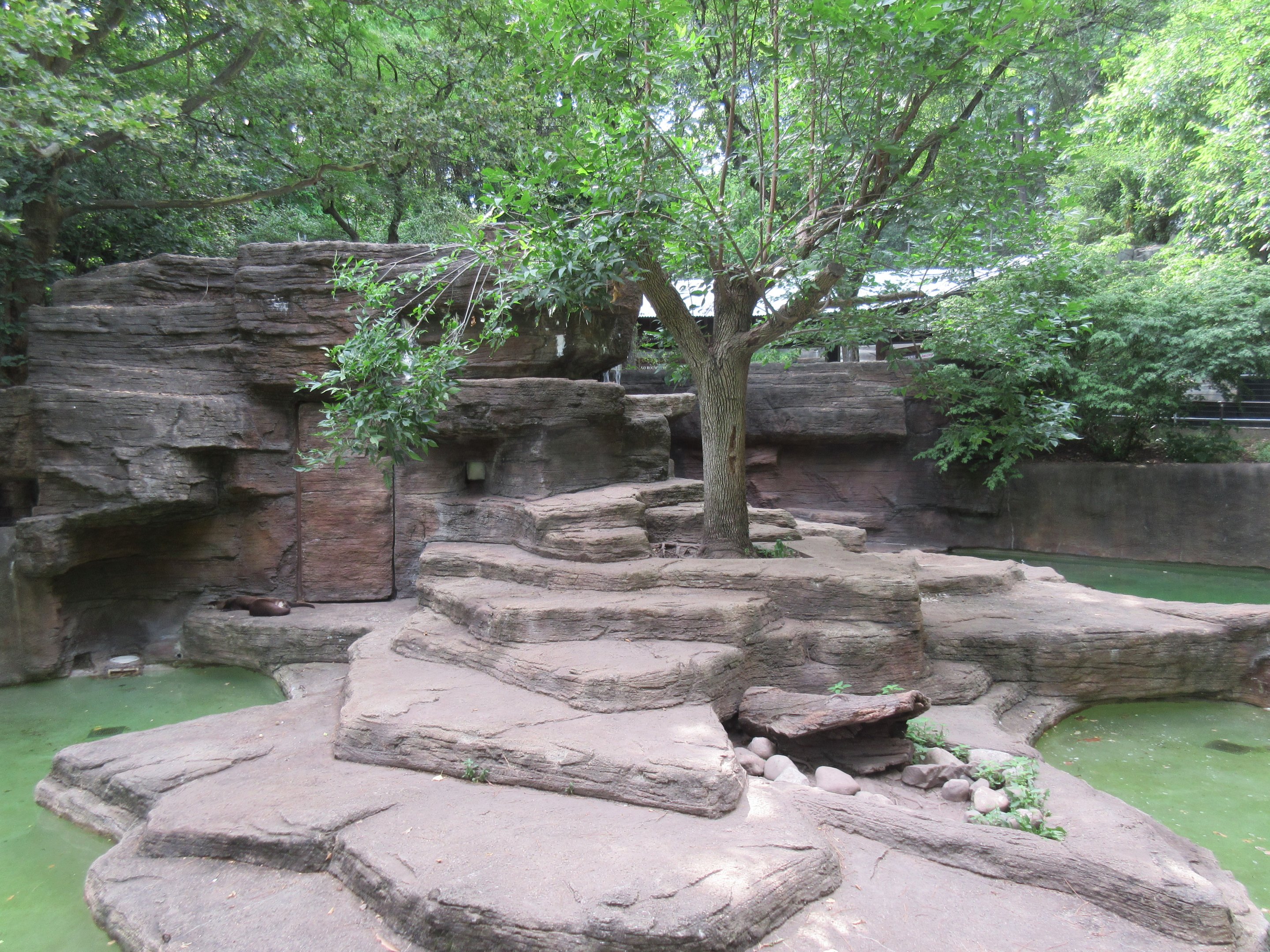 North American River Otter Exhibit