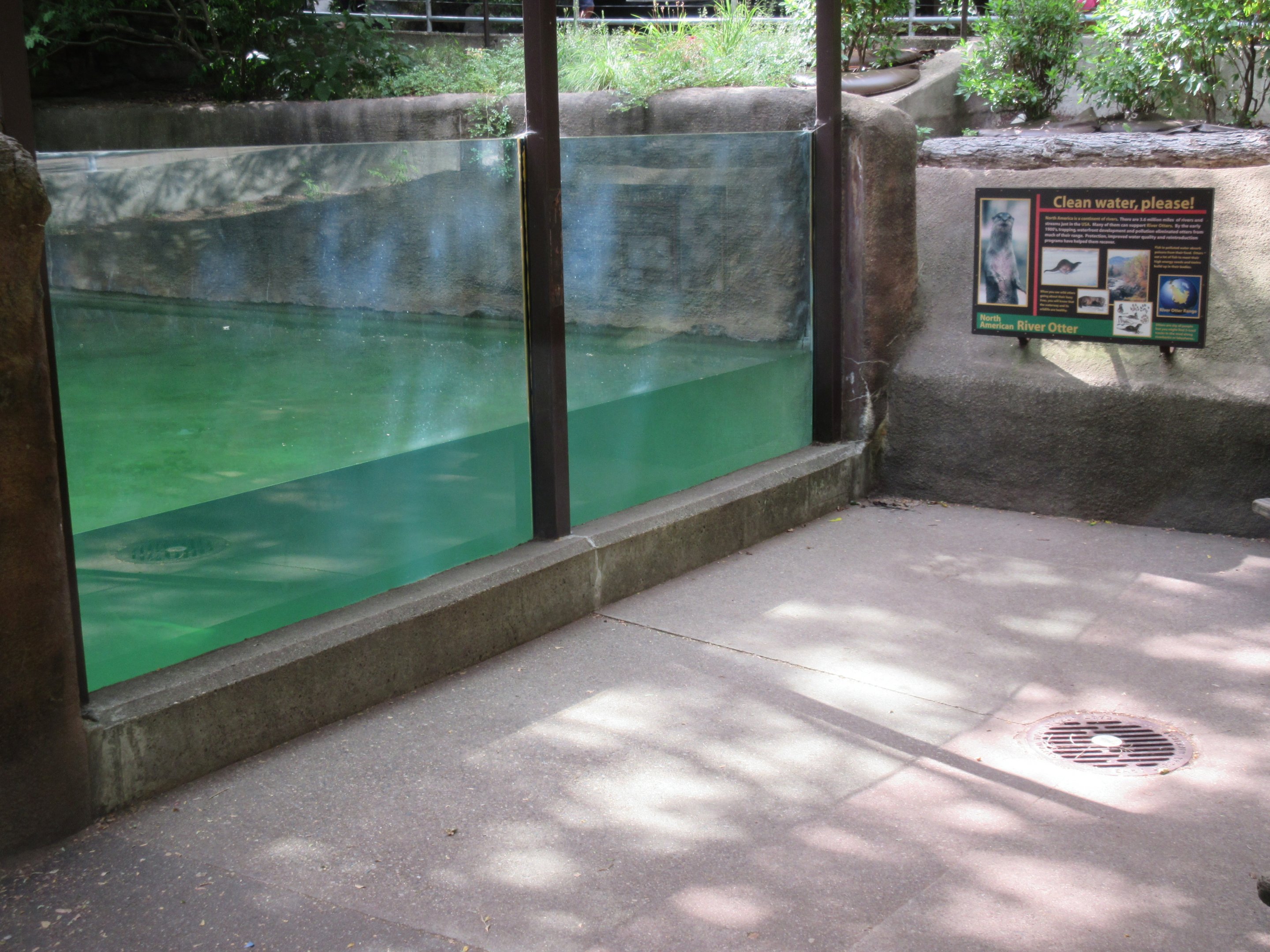 North American River Otter Exhibit