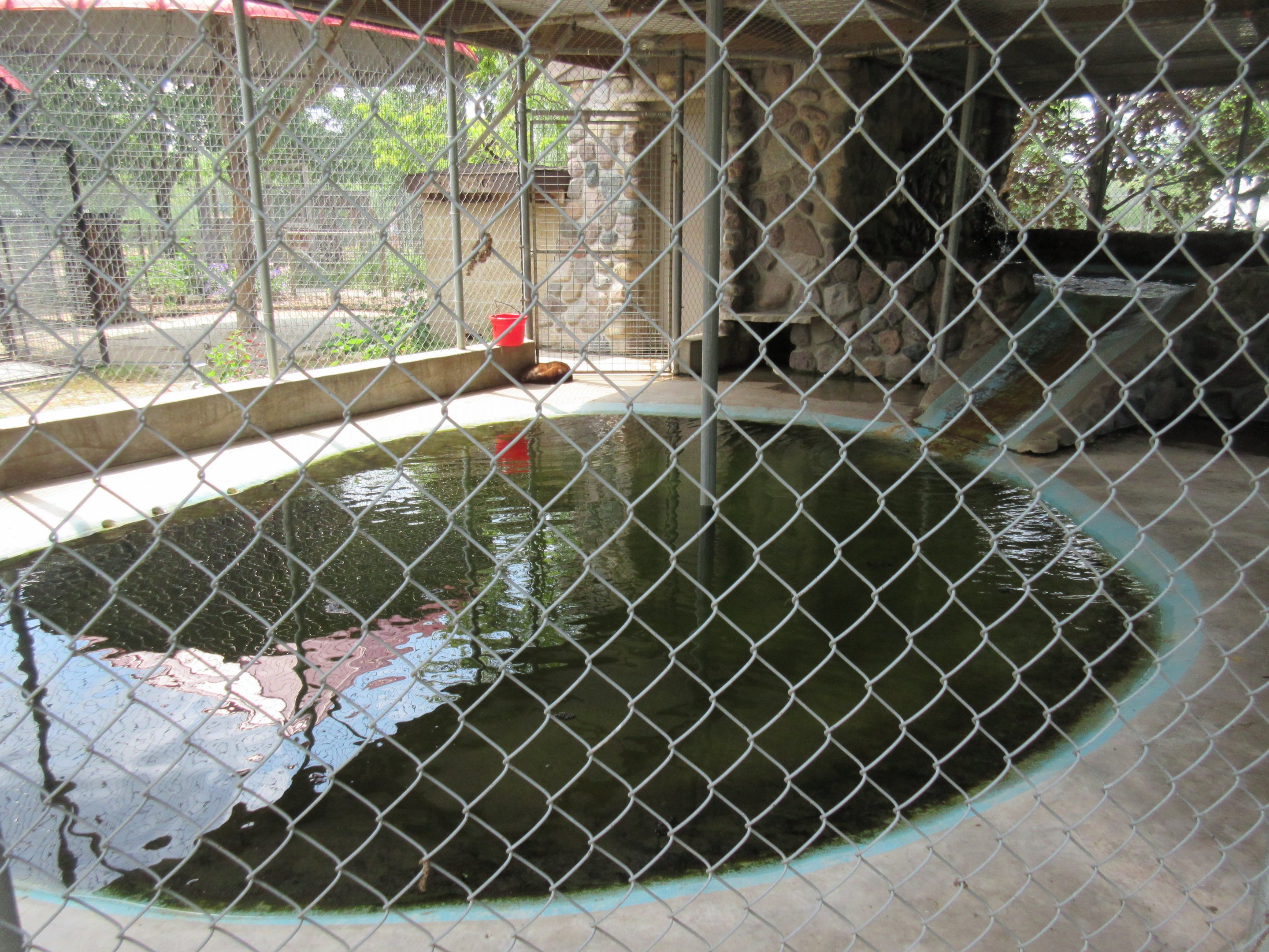 North American River Otter Exhibit