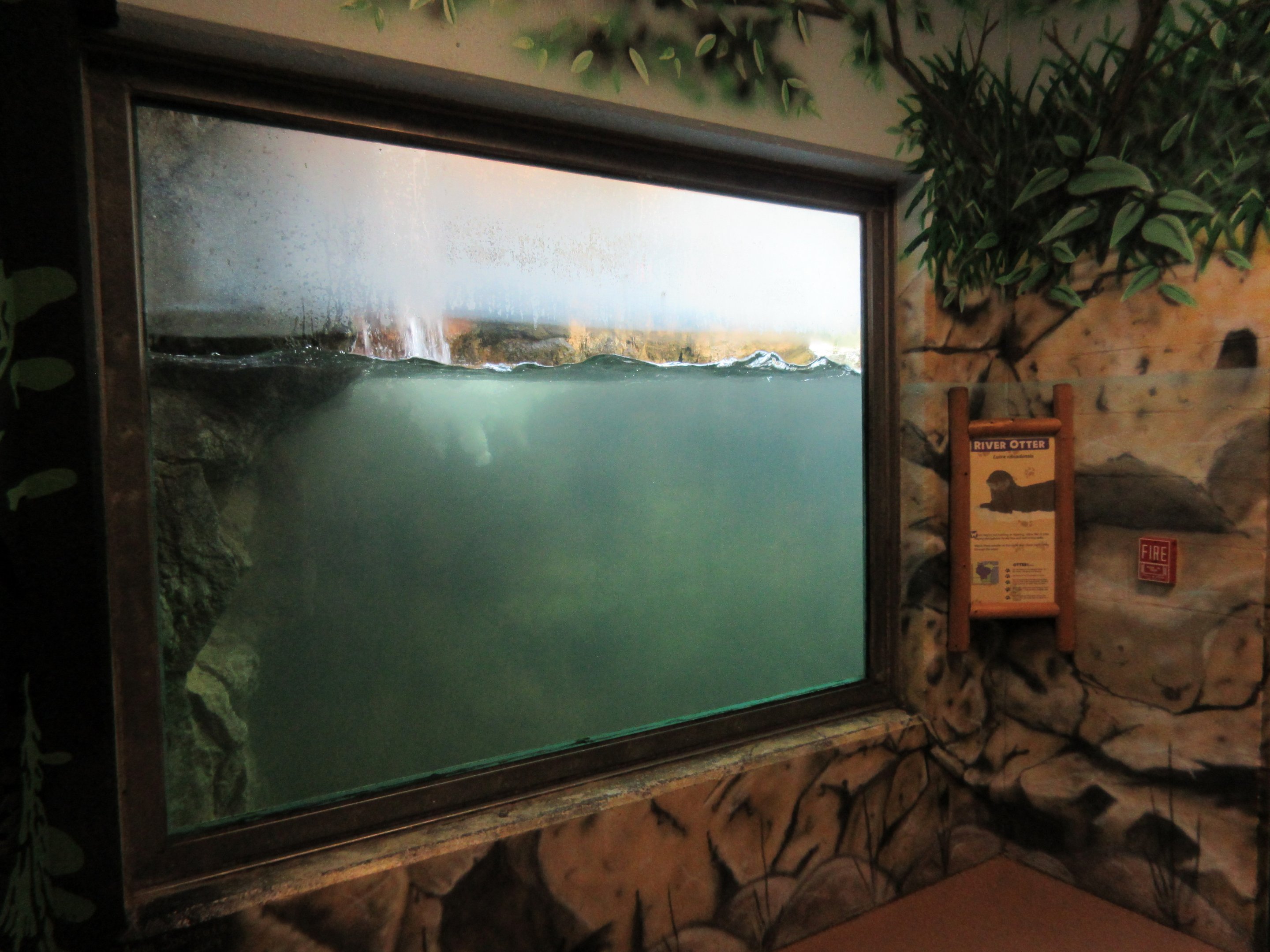North American River Otter Exhibit