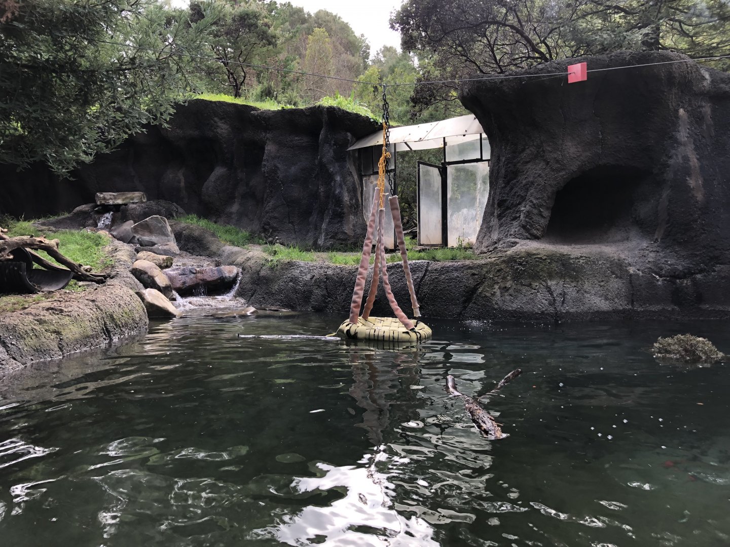 North American river otter exhibit