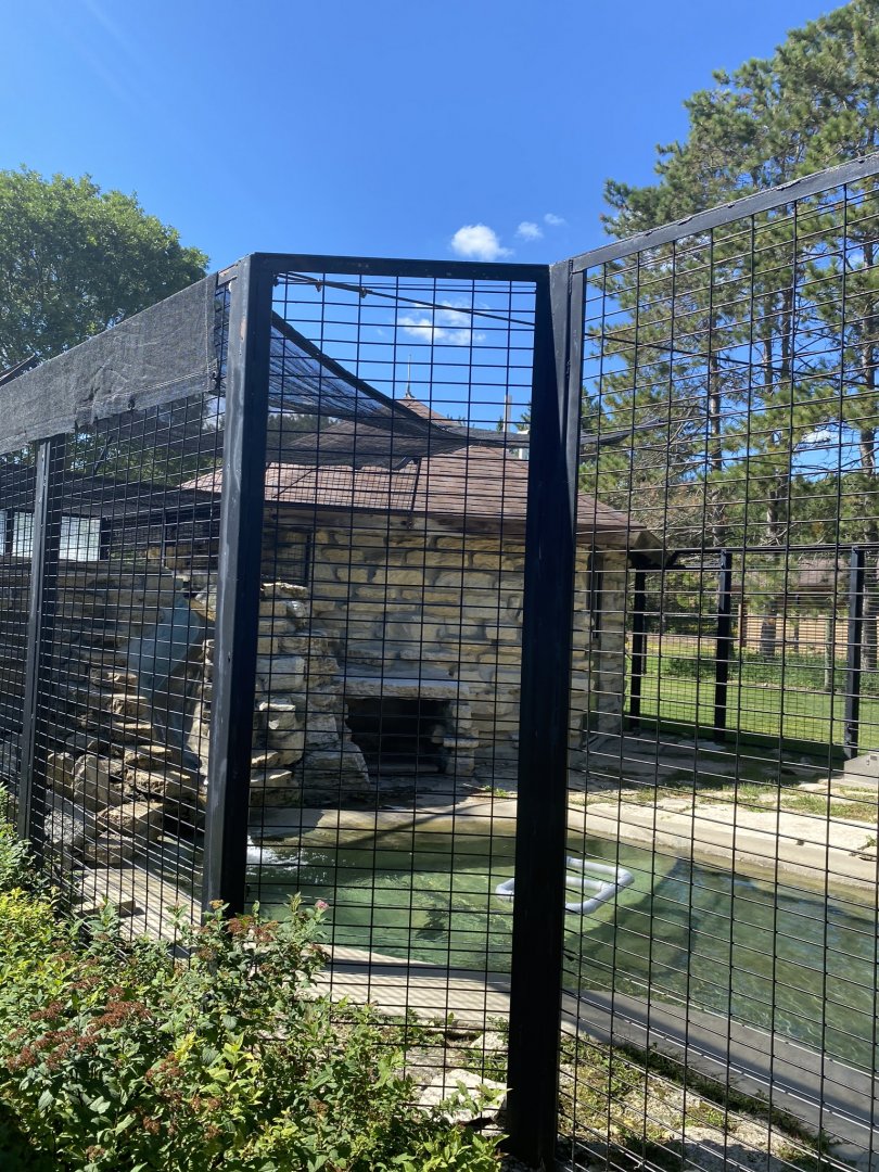 North American river otter exhibit