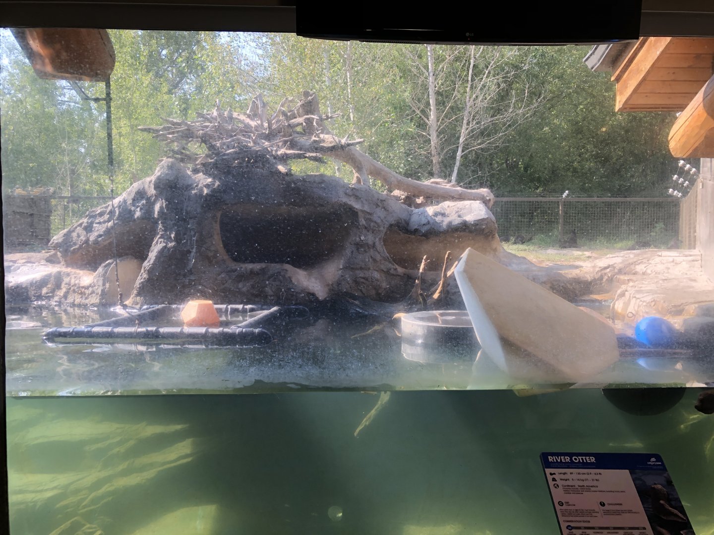 North American River Otter Exhibit