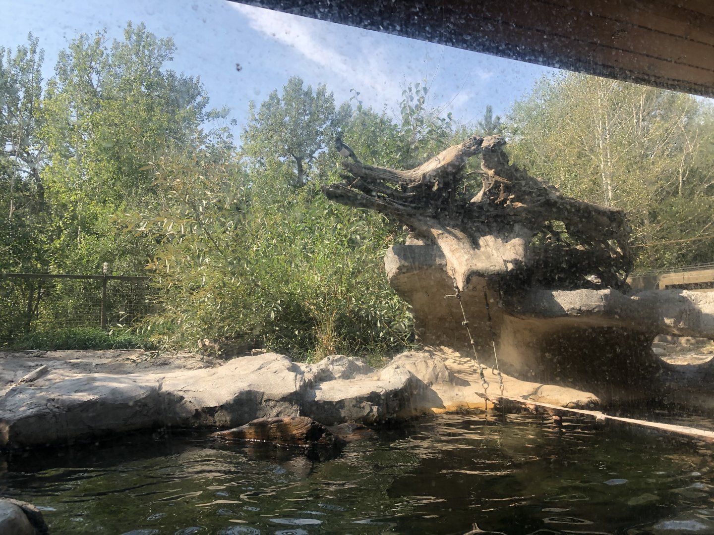 North American River Otter Exhibit