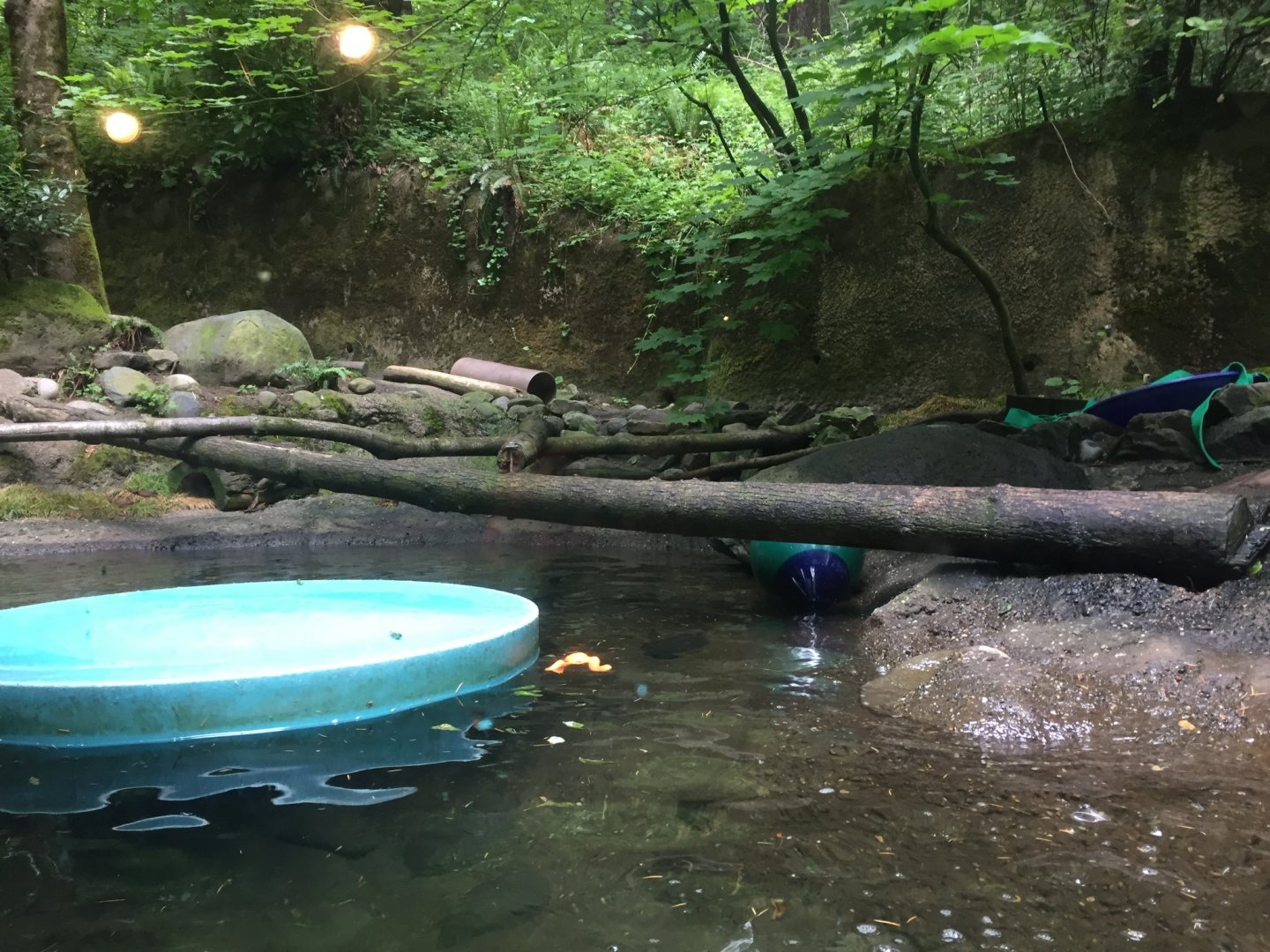 North American River Otter Exhibit