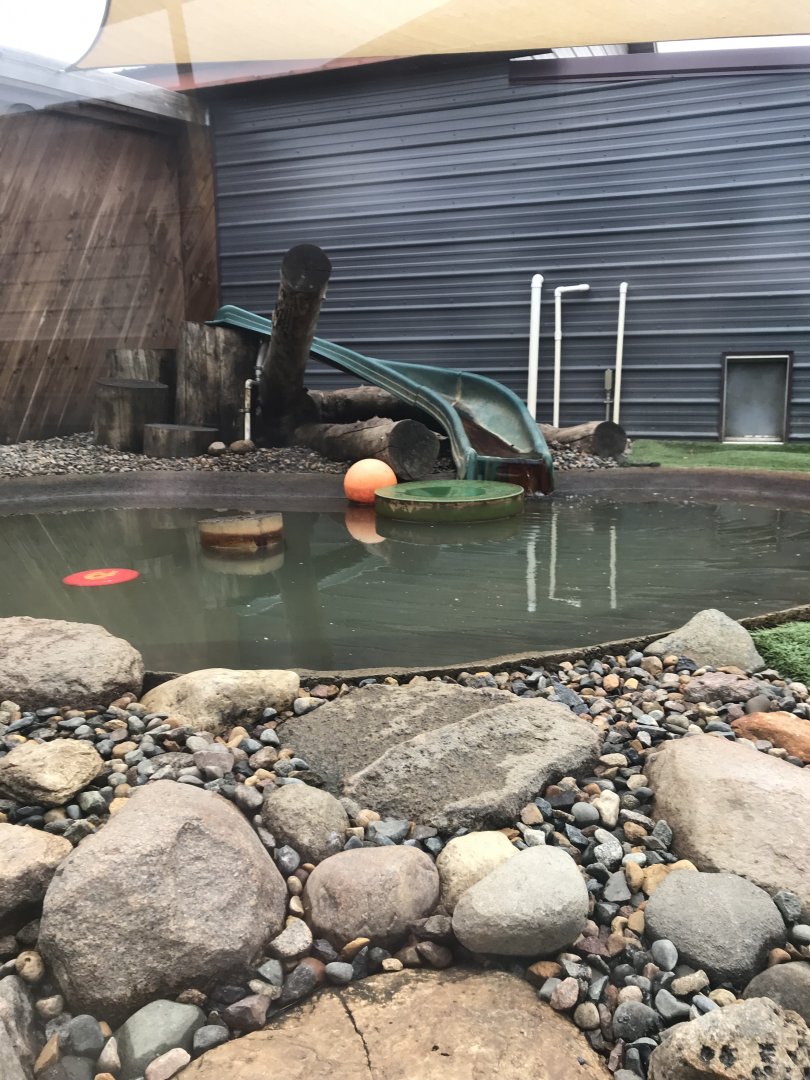 North American River Otter Exhibit