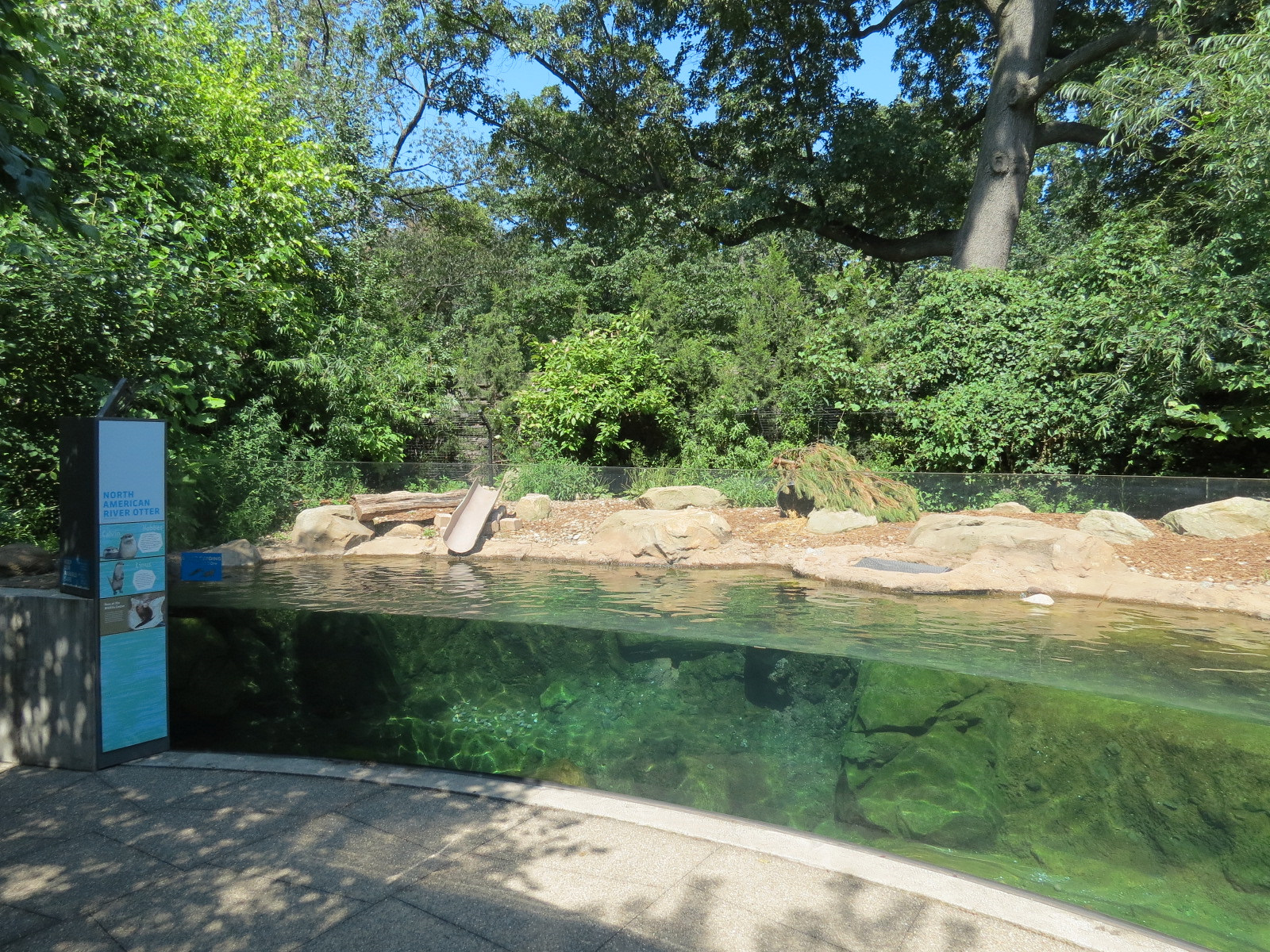 North American River Otter Exhibit