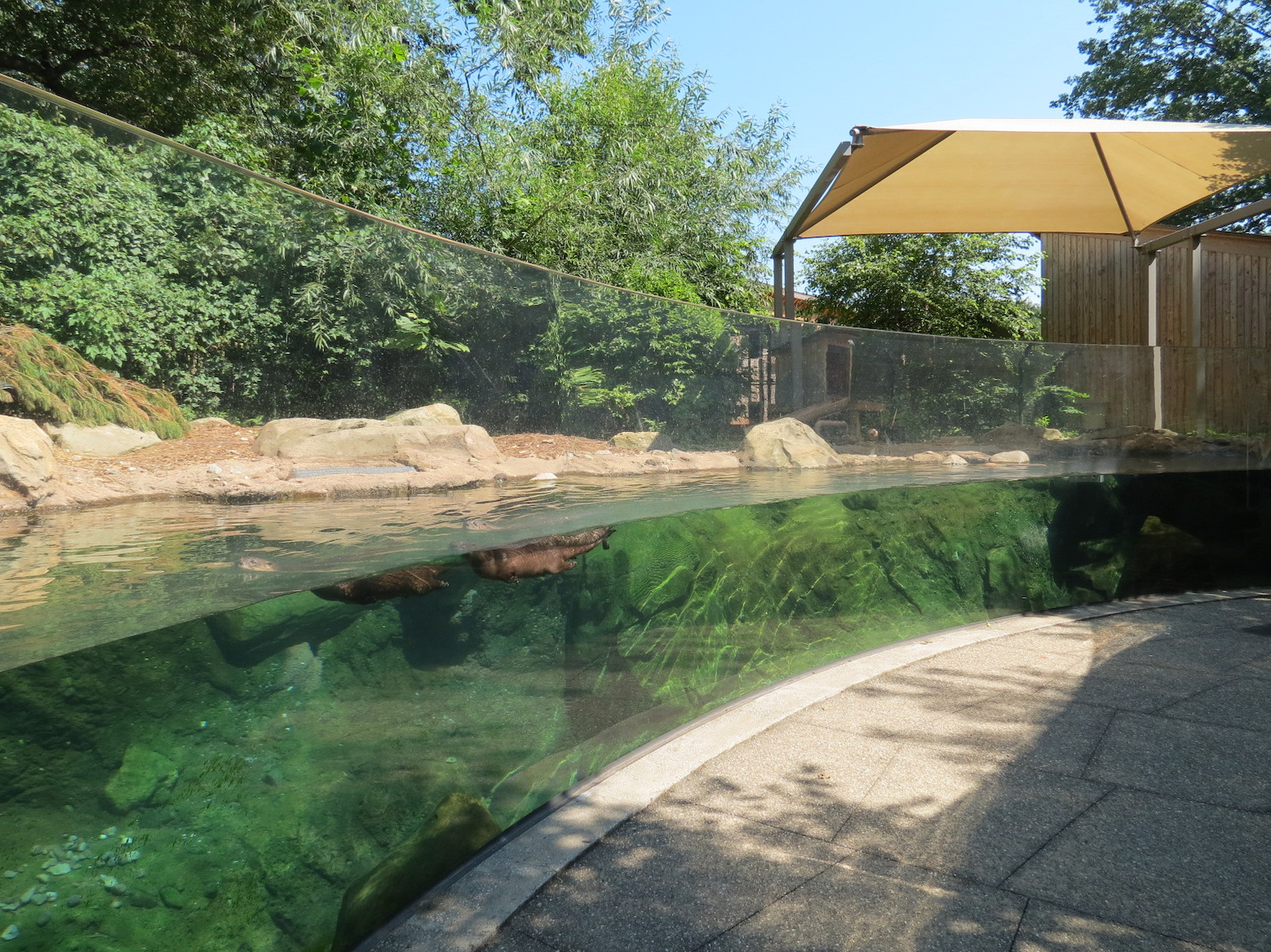 North American River Otter Exhibit