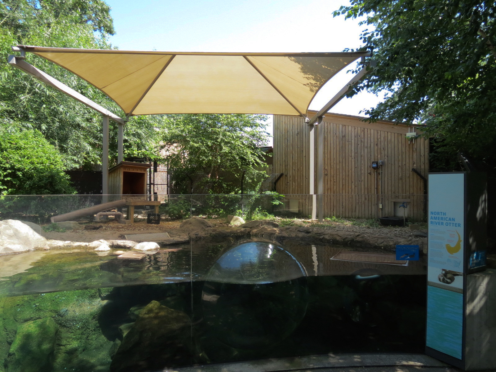 North American River Otter Exhibit