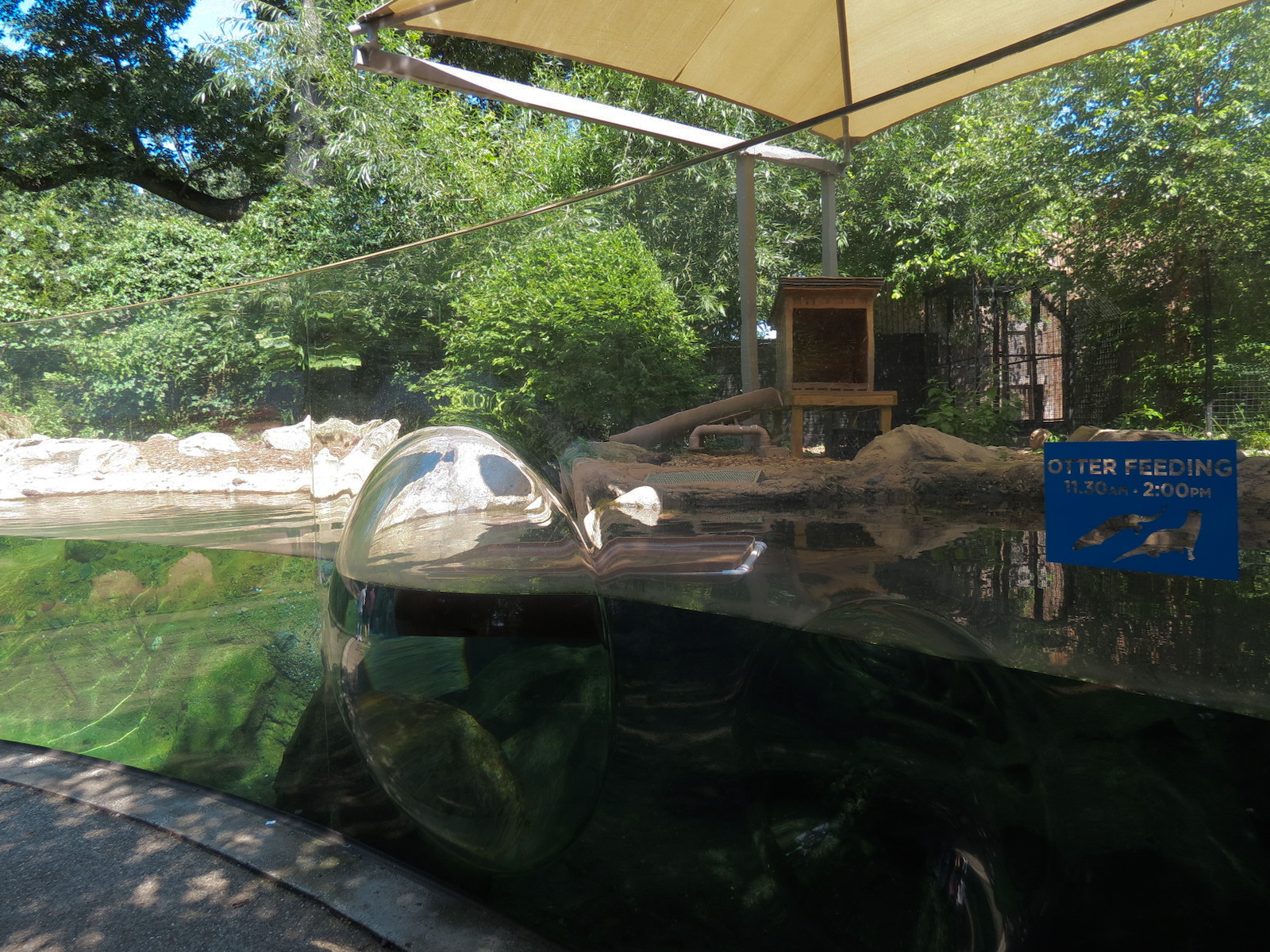 North American River Otter Exhibit