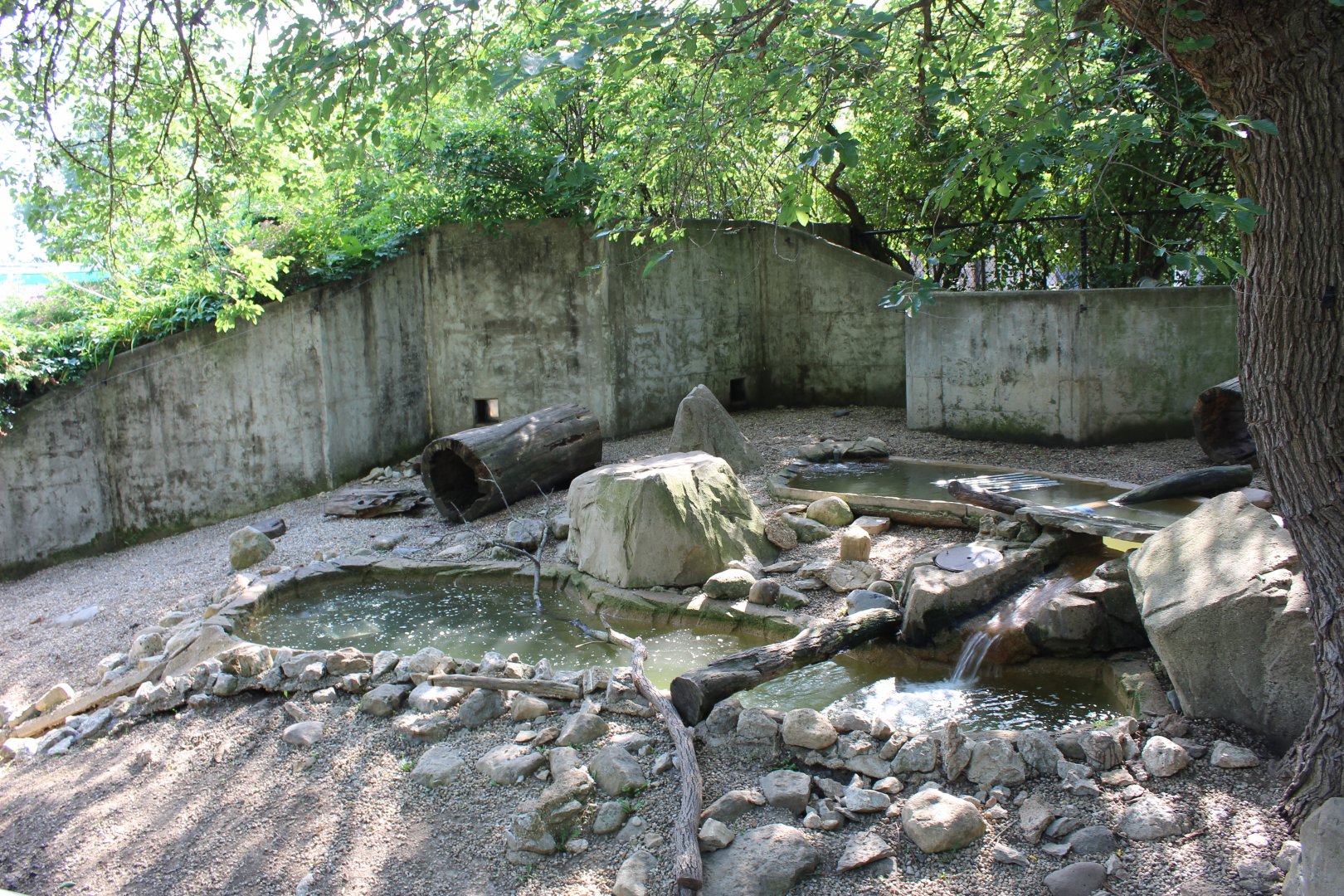 North American River Otter Exhibit