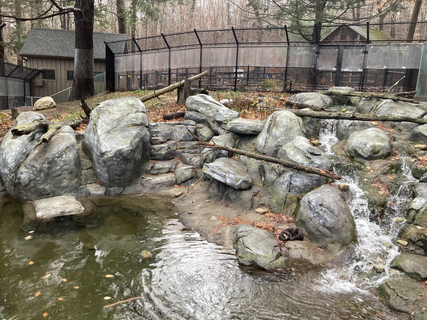 North American River Otter Exhibit