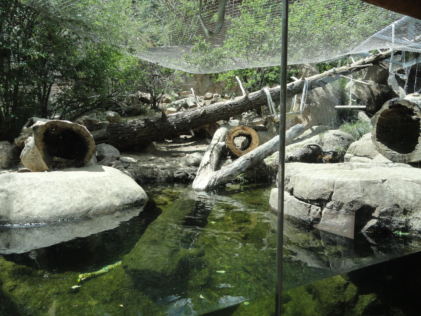 North American River Otter Exhibit