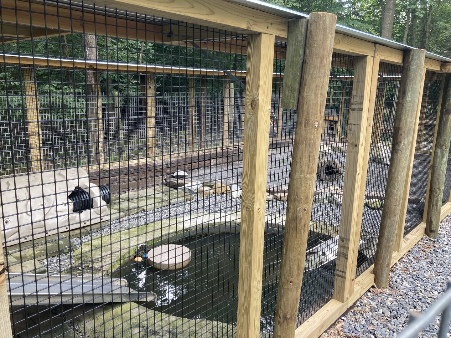 North American River Otter exhibit