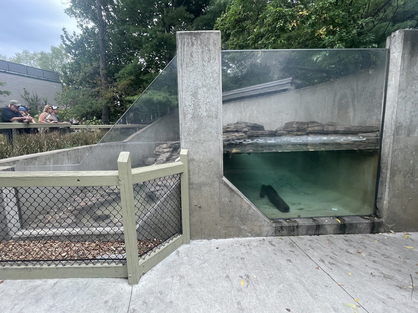 North American River Otter Exhibit